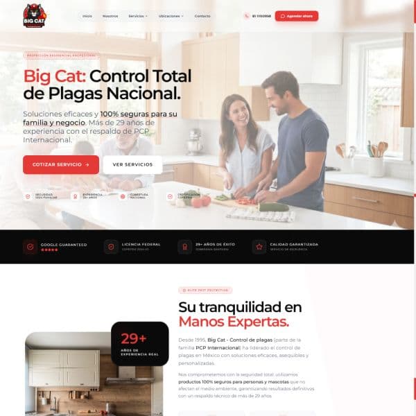 Diseño web para Big Cat Control de Plagas — Nivel Nacional